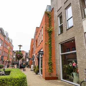 OUTGARD verticalis vergroening Dijkje Barneveld