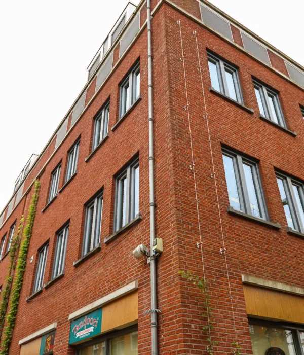 Verticalis groen sets Dijkje Barneveld
