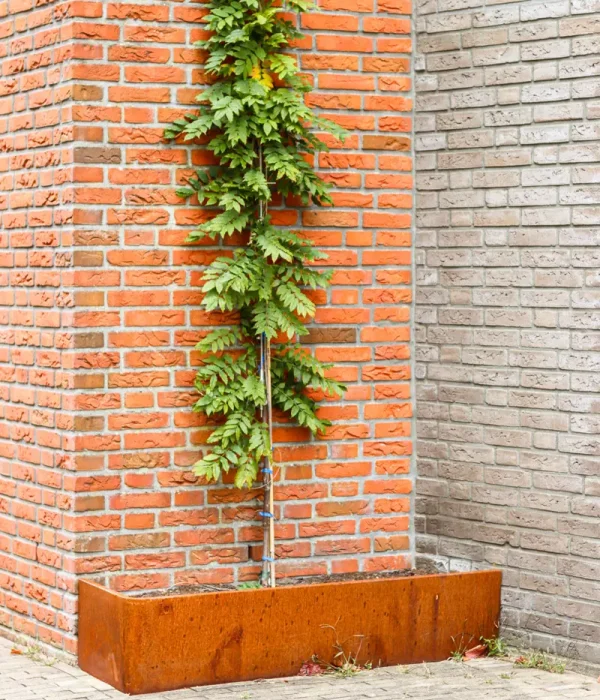 OUTGARD verticalis vergroening Dijkje Barneveld